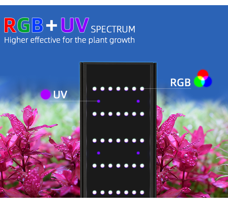 WEEK AQUA L Series APP Control - Lighting Gallery ulasan dan harga